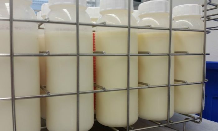 New South Wales Opening First Breast Milk Bank