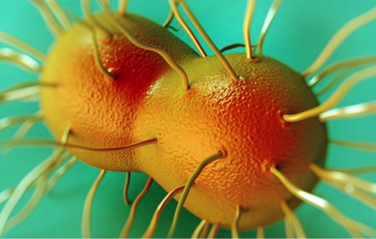 new strain of gonorrhea symptoms