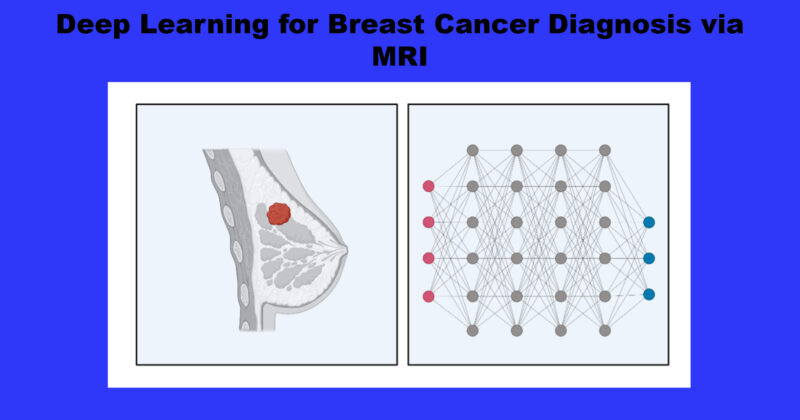 Deep Learning for Breast Cancer Diagnosis via MRI
